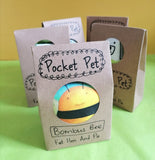 Bombus the Bee - Pocket Pet